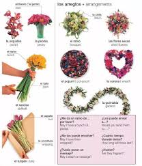 Pin De Josefina Sandoval En Ingles Flores Secas Floreros Peonias