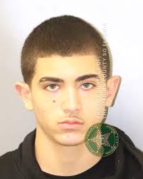 Marcus McCowan Jr., 18, also resisted arrest and tried to take an officer's  gun.