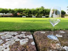 Wunderschone Vinothek Und Englischer Garten Bei Dr Burklin Wolf In Wachenheim Binaspfalzliebe Pfalz Pfalzliebe Wachenheim Vinothe Vinothek Weingut Pfalz