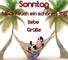 Um ein bild auf whatsapp oder facebook zu teilen, klickst oder tippst du einfach auf den button unter dem gewählten bild und folgst den anweisungen. Schonen Sonntag Bilder Und Gif Guten Morgen Sonntag Spruche