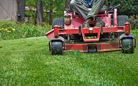 Lawn care is a booming business that's fairly easy to enter. 5 Services To Add To Your Lawn Care Business