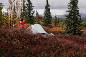 We did not find results for: 7 Perfect Fall Camping Spots In Pennsylvania