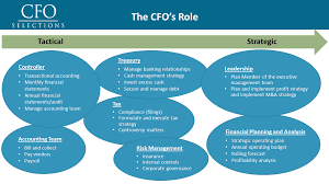 Director of financial reporting department: How To Choose Between A Controller And A Cfo