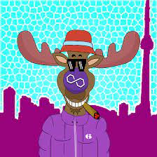 Matic Moose Of The 6ix Nft Calendar