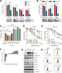 Ihc revealed loss of bap1 nuclear staining in 47 of these 70. Loss Of Functional Bap1 Augments Sensitivity To Trail In Cancer Cells Elife