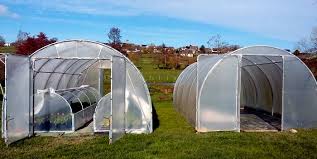 Les Serres De La Baie Fabrication Artisanale Frana Aise De Serres De Jardin Tunnel A Saint Quentin Sur Le Homme Abritez Vos Serre Jardin Serre Saint Quentin