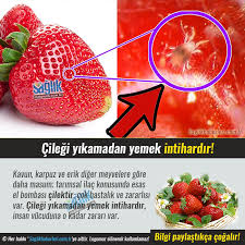 Cilegi Yikamadan Yemek Intihardir Kavun Karpuz Ve Erik Digerle Meyvelere Gore Daha Masum Tarimsal Ilac Konusunda Esas El Bombasi Saglik Saglikli Yasam Meyve