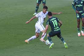 Santos x palmeiras era um jogo de futebol entre o santos e o palmeiras. Cuca Nao Entende Var Em Santos X Palmeiras Uma Pena Que Interpretacao Venha De Cima Gazeta Esportiva