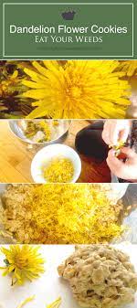 Pin On Gardening Advice Edible Landscape Design