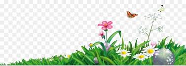 Download Gambar Png Bunga Rumput Dan Bunga Png Lawn Desktop Wallpaper Clipart Hd Buket Bunga Sederhana Tapi Elegan Transpa Bunga Menggambar Bunga Bunga Tulip