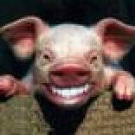 We did not find results for: Morton Tender Quick For Bacon The Virtual Weber Bulletin Board