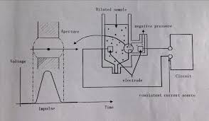 Karena plasma darah merupakan bagian cair dari darah. Http Repository Unimus Ac Id 1413 3 Bab 20ii Pdf