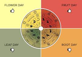 Fruit Day Vs Root Days Wine Tasting By The Lunar Calendar