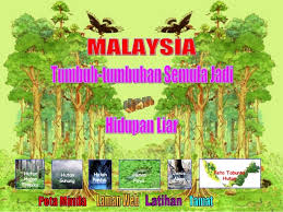 Senarai ini bermula dari bagan lalang (selatan) hingga sabak bernam(utara). Bab 4 Tumbuh Tumbuhan Semula Jadi Di Malaysia Quiz Quizizz
