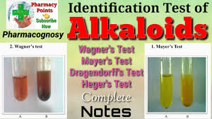 Maybe you would like to learn more about one of these? Identification Test Of Alkaloids Youtube