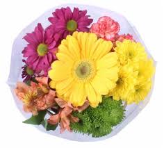 Find information to contact us or other answers to frequently asked questions related to online orders, account troubleshooting, digital coupons and more. Flowers Floral Arrangements Kroger