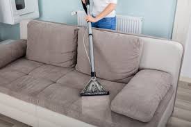Maybe you would like to learn more about one of these? Removing Urine Odors From A Couch Thriftyfun