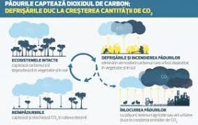 Potrivit giec, daca emisia de gaze cu efect de. IncÄƒlzirea GlobalÄƒ E Mai RapidÄƒ Decat S A Estimat