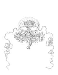 acquaria_2023_locandina_no segni di taglio_v03