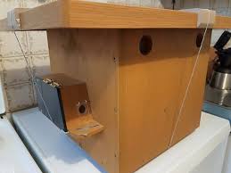 Hummelhaus Aus Mehrschichtigen Holzbauplatten Tischlerplatte Nach Jurgen Borner Absolut Zu Empfehlen Ist Dieses Hundertfach Erpro In 2020 Haus Hummel Tischlerplatte