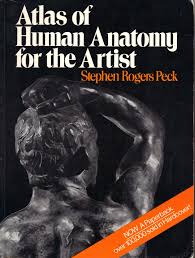 Atlas of human anatomy for the artist is a perfect (exhaustive and absorbing) human anatomy reference book for both beginners and intermediate artists. Atlas Of Human Anatomy For The Artist Pdf