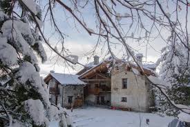 Image result for vie reggio emilia 1981 2021