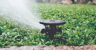 One important factor in determining how often to water your lawn is how much water your sprinkler system puts out. Water Conservation Ways To Save Residential Customers Jea