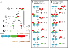 Pauvres sont deux axes importants de l'action du pays en faveur des pauvres dans le domaine de la petite enfance. Plos Computational Biology A General Model For Toxin Antitoxin Module Dynamics Can Explain Persister Cell Formation In E Coli
