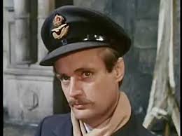 Scruffy Saturday at the Department of Eye Candy (Color Division)