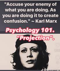 Instagram photo by Sam McNally • Oct 31, 2024 at 4:10 AM