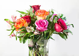 Buongiorno, su questo sito puoi scaricare rapidamente e comodamente sfondi gratis per il tuo desktop. Sfondi Mazzo Di Fiori Rose Fiori Sfondo Bianco