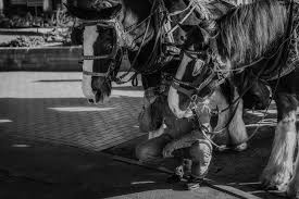 Christopher warren, sr obituary remember christopher warren, sr. Horseman Water Christopher Warren Sr Photography Places Travel United States Arizona Artpal