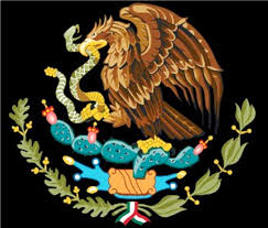 The free video animated wallpaper is hd video quality to give the best quality animated backgrounds to your android phone, even flagship phones . Mexico Flag Wallpapers Top Free Mexico Flag Backgrounds Wallpaperaccess