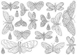 Download Mindfulness Colouring Book Emma Farrarons 9780752265629 Amazon Com Books