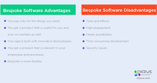 Bespoke Software Advantages And Disadvantages