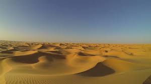 Some desert adaptations for the desert biomeare.cacti have thorns to protect it's nutrients from consumers.camels can close their nose so sand doesn't get. Desert Ecology Wikipedia