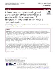 Image result for Achyrospermum carvalhoi