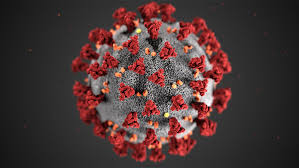 We did not find results for: Very Few Infants Seem To Be Getting Sick With The New Coronavirus Science News