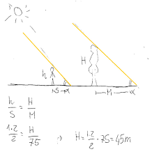 Start by measuring the length and width of the space in meters using a tape measure or other measuring tool. If A Girl 1 2 Meters Tall Casts A Shadow 2 Meters Long How Many Meters Tall Is A Tree That Casts A Shadow 75 Meters Long At The Same Time Socratic