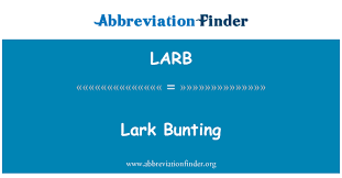 Saya tidak boleh cakap bahasa melayu. Larb Definisi Lark Bunting Lark Bunting