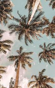 Sign up for uo rewards and get 10% off your next purchase. 43 Best Things To Do In Bali 2021 With Photos Must See Attractions In Bali Indonesia Nature Photography Aesthetic Backgrounds Beach Wall Collage