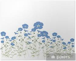 Download and use 100,000+ blue flowers stock photos for free. Cornflower Field Rye Of Field Light Blue Flowers Poster Pixers We Live To Change