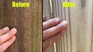 Maybe you would like to learn more about one of these? Pressure Washing Fence Around The House