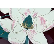 Image result for Magnolia White 1980 Amos and Sons