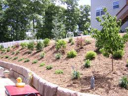 Pin By Tammie Goss On Landscaping And Gardening Hillside Landscaping Backyard Landscaping Yard Landscaping