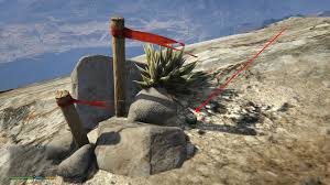 The plants were initially active from october 31 2019 to november 14, 2019. Peyote Plants In Gta V Gta Wiki Fandom
