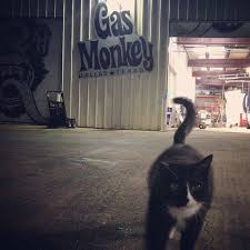 The initial situation began with people questioning the car that was being given away because it. Pin On Gas Monkey Garage Gas Monkey Bar N Grill
