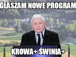 Maybe you would like to learn more about one of these? Jaroslaw Kaczynski Portal Topagrar Pl 2