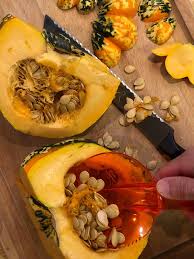 Image result for carnival acorn squash