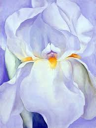 Georgia O Keeffe White Iris 1957 Georgia Okeefe Paintings Georgia O Keefe Art Georgia Okeefe Flowers